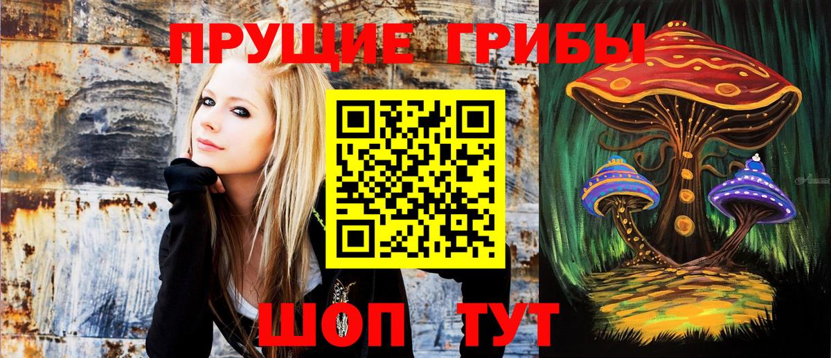 Саянск  Псилоцибиновые грибы мицелий  Вход с VPN 