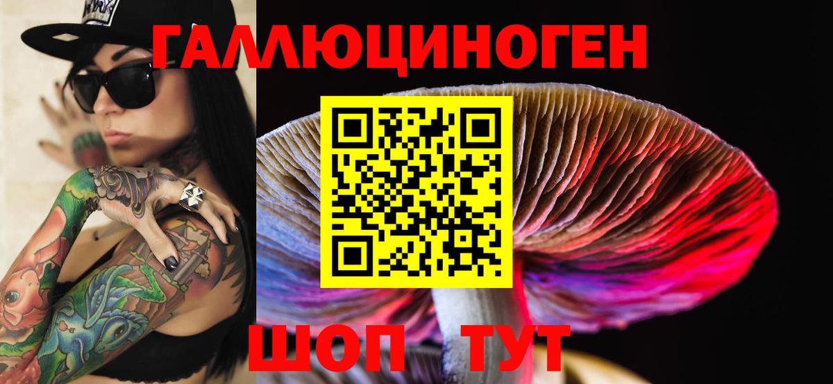 Псилоцибиновые грибы прущие грибы Саянск
